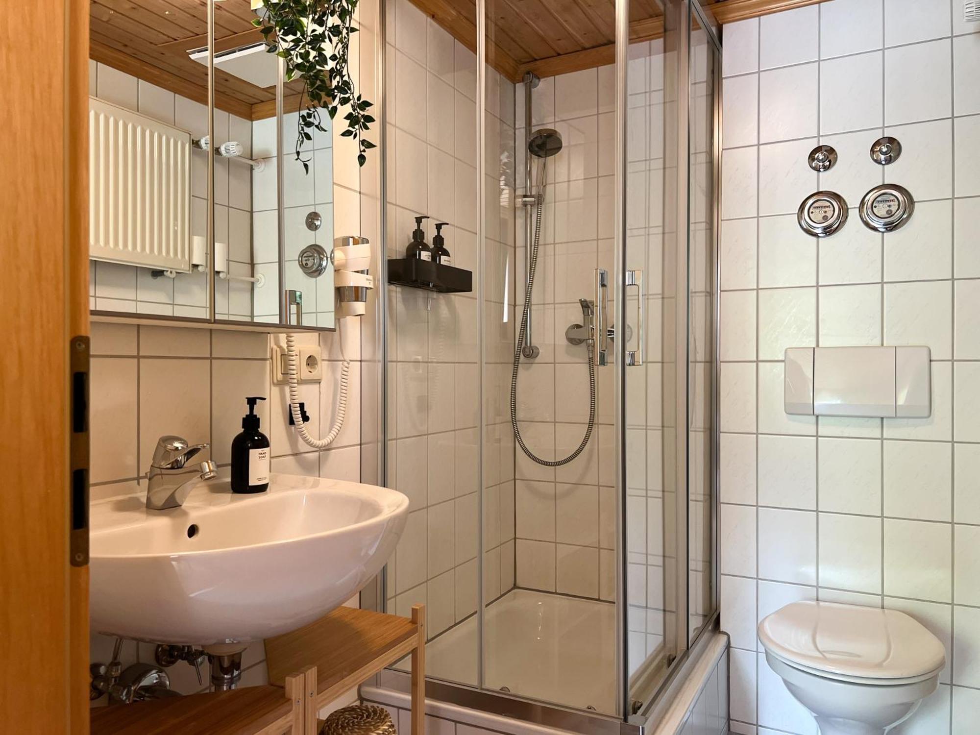 Schwarzwald Apartments Im Haus Tanneck - Feldberg - Titisee Ngoại thất bức ảnh